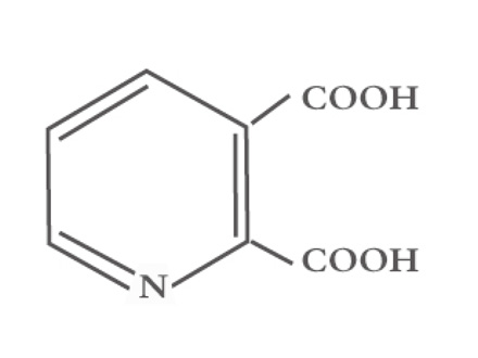 2,3-吡啶二羧酸（又名：喹啉酸）